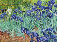 Cuadro canvas vincent van gogh lirios