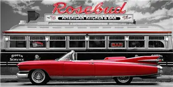 Cuadro canvas fotografia vintage beauty and diner