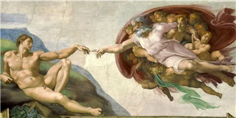 Cuadro canvas museo la creacion de michelangelo Cuadro canvas museo la creacion de michelangelo