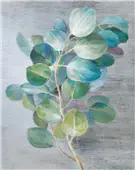 Cuadro canvas luz fresca I