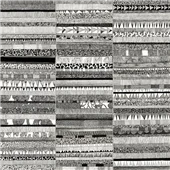 Cuadro canvas partitura visiva II