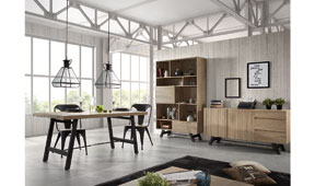 Comedor Industrial Tiva