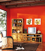 Salon_Rustico_Florencia