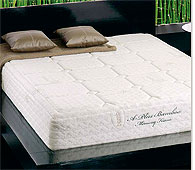 Colch�n Viscoel�stica  A Plus Bamboo