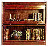 Bookcase_2_Modulos