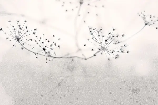 Papel pintado Floss 02 by Instabilelab