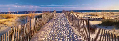 Cuadro canvas pathway to the beach Cuadro canvas pathway to the beach