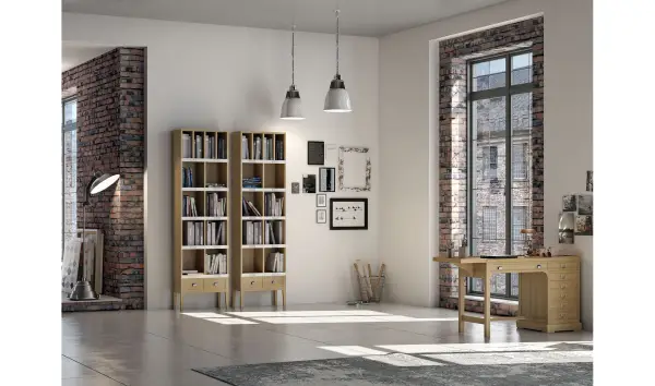 Librería estrecha nórdica Francesa