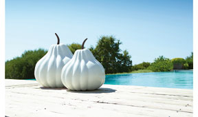 Calabaza blanca