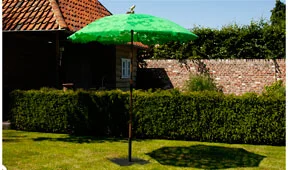Parasol verde Hoja