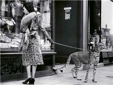 Cuadro canvas elegant woman with cheetah Cuadro canvas elegant woman with cheetah