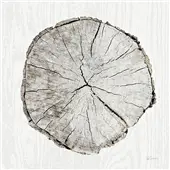 Cuadro canvas woodland years I