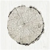 Cuadro canvas woodland years II Cuadro canvas woodland years II