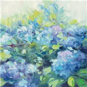 Cuadro canvas brillante hydrangea II Cuadro canvas brillante hydrangea II