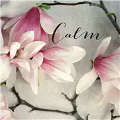 Cuadro canvas poem crop calm