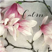 Cuadro canvas poem crop calm Cuadro canvas poem crop calm