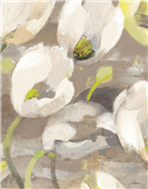 Cuadro canvas tulip delight I