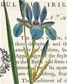 Cuadro canvas iris letter