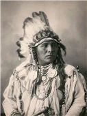 Cuadro canvas spotted jack rabbit crow 1898 Cuadro canvas spotted jack rabbit crow 1898