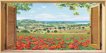 Cuadro canvas finestra su campo di papaveri