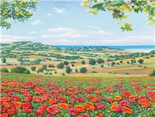 Cuadro canvas campo di papaveri