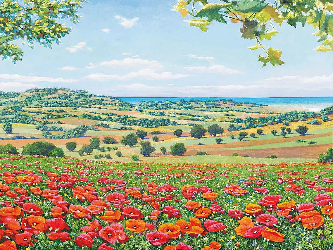 Cuadro canvas campo di papaveri