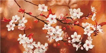 Cuadro canvas sakura Cuadro canvas sakura