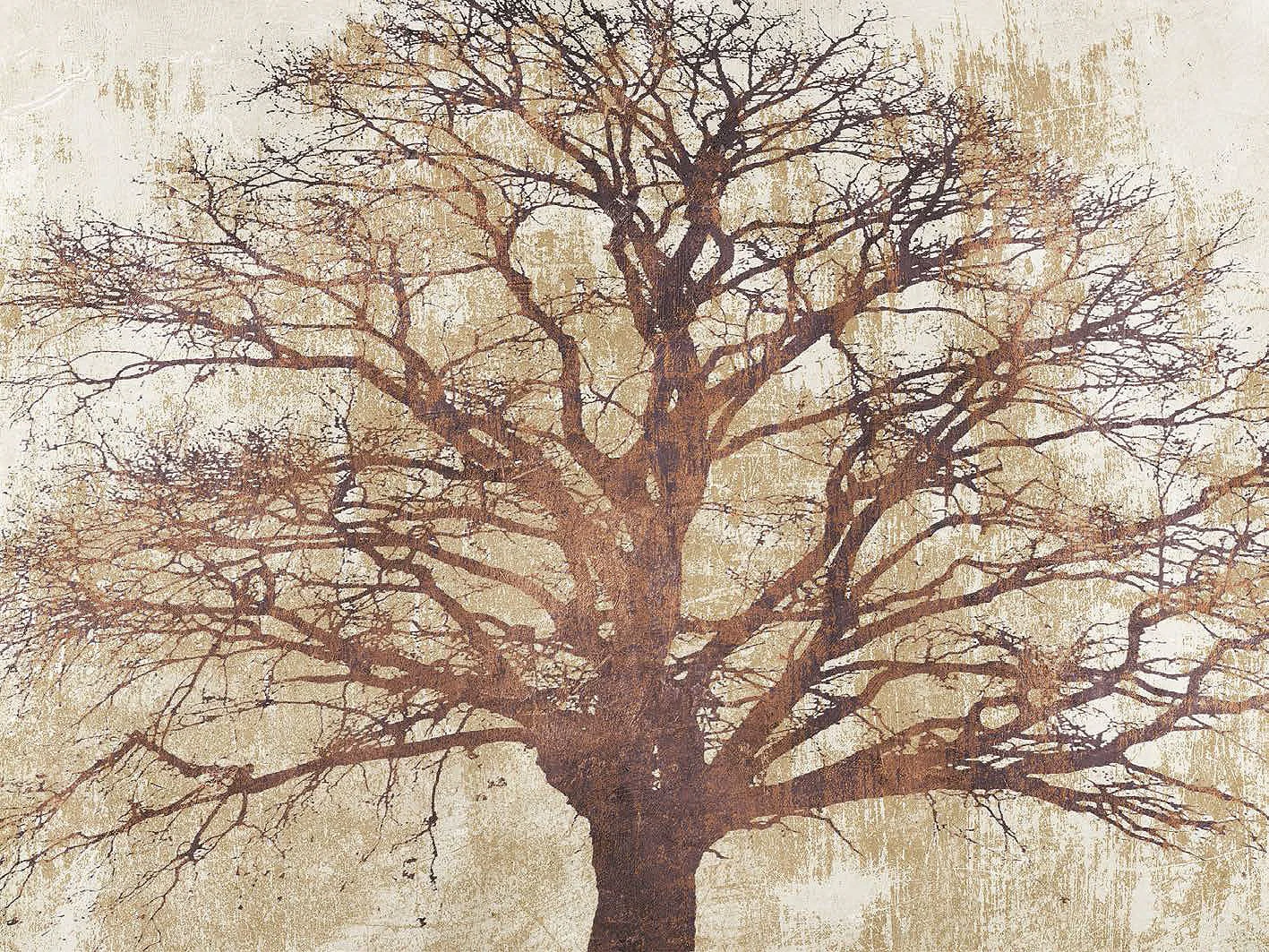 Cuadro canvas sacred oak