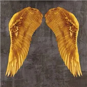 Cuadro canvas angel wings I Cuadro canvas angel wings I