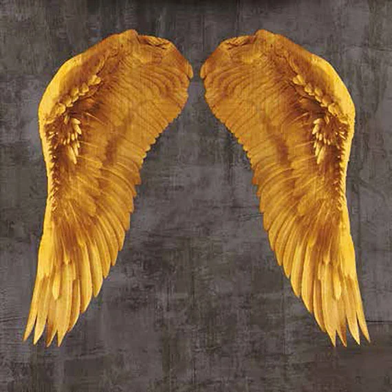 Cuadro canvas angel wings I