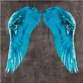Cuadro canvas angel wing V
