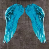 Cuadro canvas angel wing V Cuadro canvas angel wing V