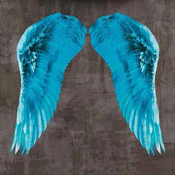 Cuadro canvas angel wing V