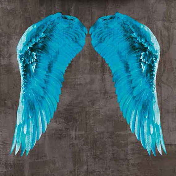 Cuadro canvas angel wing V