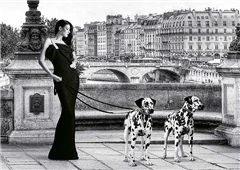 Cuadro canvas walking in paris Cuadro canvas walking in paris