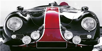 Cuadro canvas roaring bullet Cuadro canvas roaring bullet