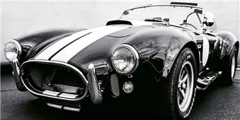 Cuadro canvas black cobra Cuadro canvas black cobra
