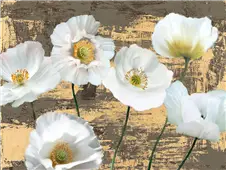 Cuadro canvas flores washed poppies