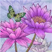 Cuadro canvas flores nympheas and butterflies
