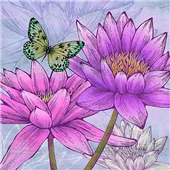 Cuadro canvas flores nympheas and butterflies