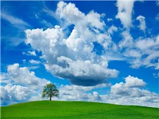 Cuadro canvas fotografia oak and clouds Cuadro canvas fotografia oak and clouds