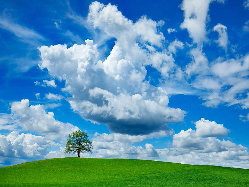 Cuadro canvas fotografia oak and clouds