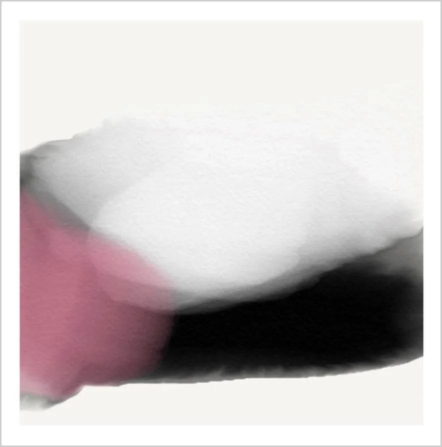 Cuadro canvas harmony II