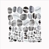 Cuadro canvas pebble treat II Cuadro canvas pebble treat II