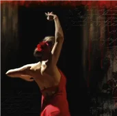 Cuadro canvas flamenco I Cuadro canvas flamenco I