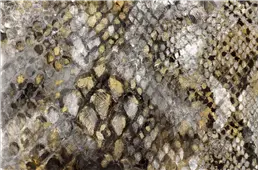 Cuadro canvas snake skin
