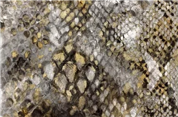 Cuadro canvas snake skin