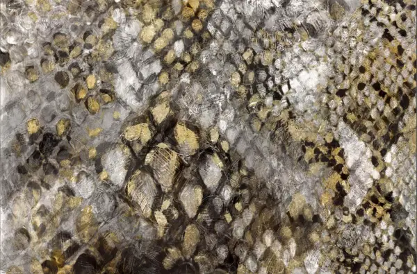 Cuadro canvas snake skin