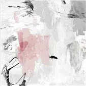 Cuadro canvas grey pink II