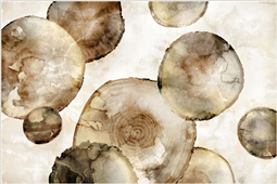 Cuadro canvas tree rings